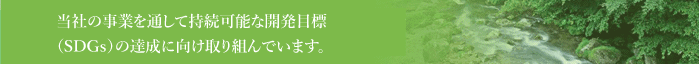 当社の事業を通して持続可能な開発目標（SDGｓ）の達成に向け取り組んでいます。