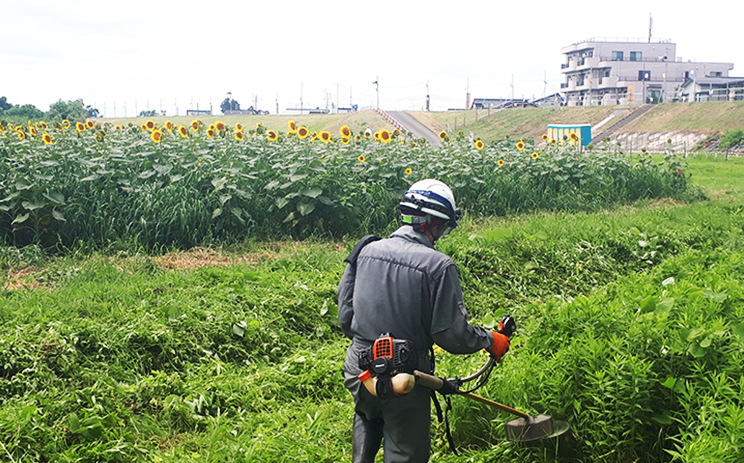 草刈り作業